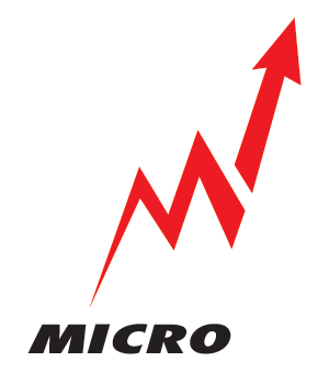 The Micro Electronics